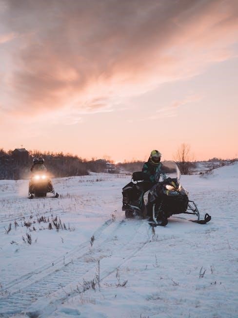 ski doo instructions